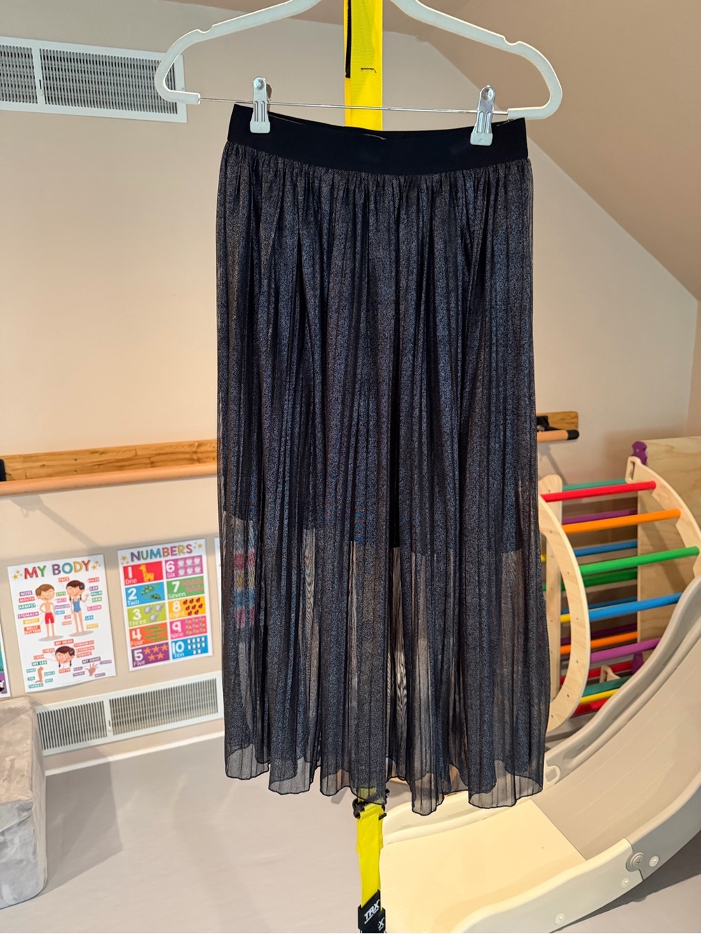 Sanctuary Black Sheer Pleated Maxi Skirt